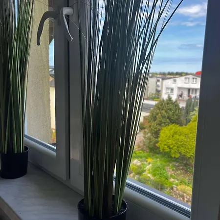 Проживание в семье Rodzinna