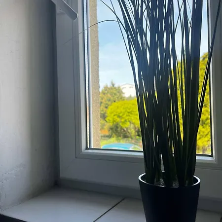 Проживание в семье Rodzinna *